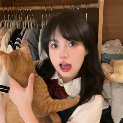 冰上捍卫者