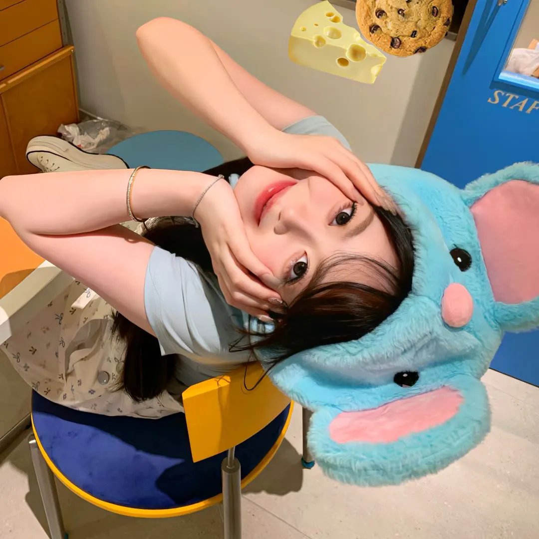 茅趸王